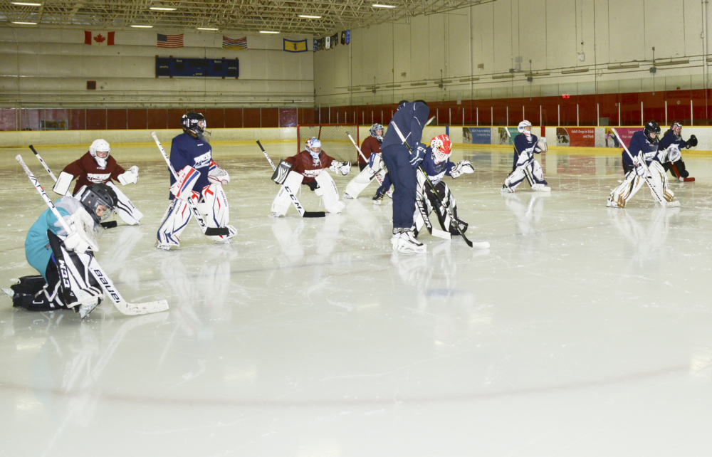 Pre-Season Goalie Development Program (2007-10, 2010-13)