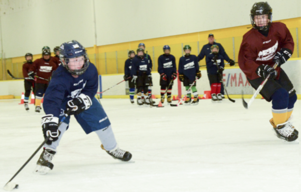 Hockey 2008-09 Winter After School Advanced Development Program