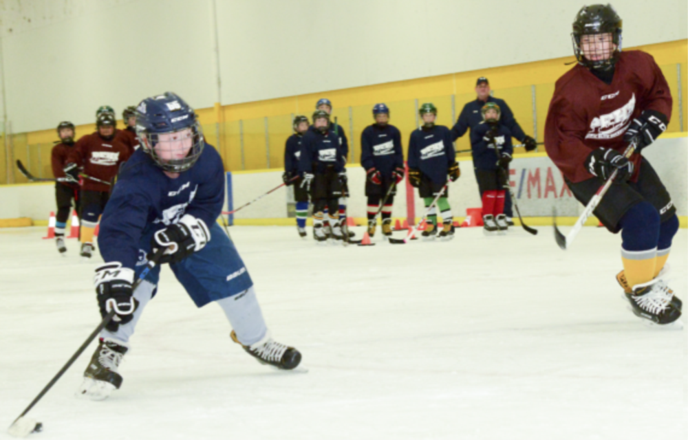 Hockey 2008-10 Winter After School Advanced Development Program