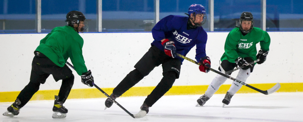 ULTIMATE TRAINING HOCKEY ADVANCED